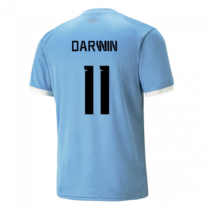 Niño Camiseta Uruguay Darwin Nunez #11 Azul 1ª Equipación 22-24 México