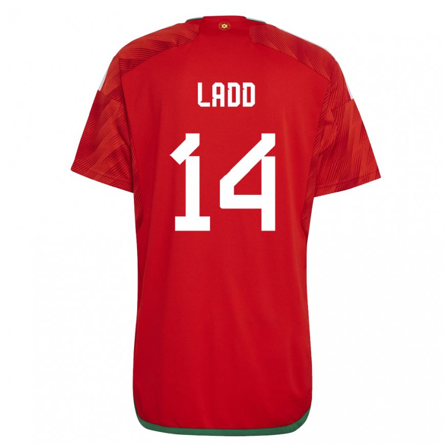 Hombre Camiseta Gales Hayley Ladd #14 Rojo 1ª Equipación 22-24 México