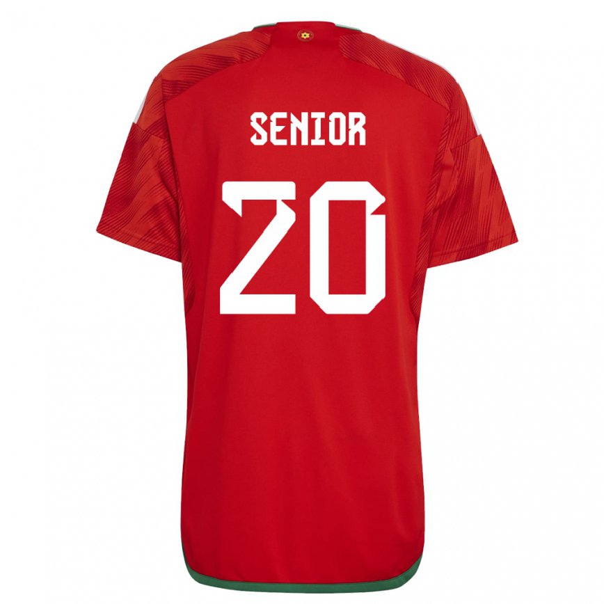 Hombre Camiseta Gales Matt Senior #20 Rojo 1ª Equipación 22-24 México