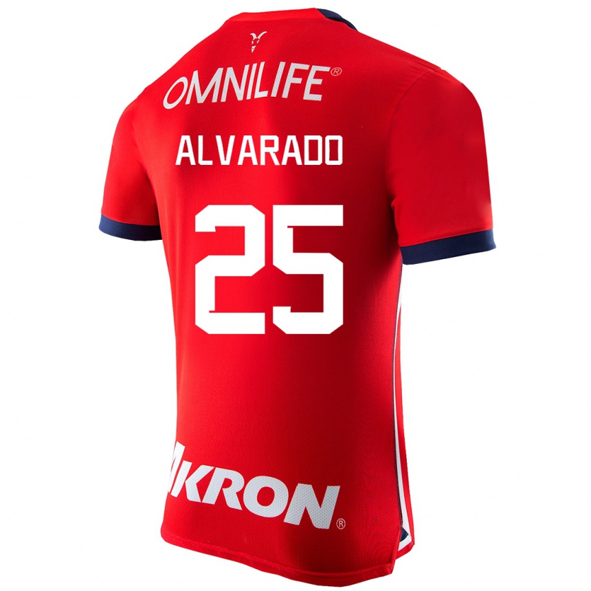 Mujer Fútbol Camiseta Roberto Alvarado #25 Rojo 1ª Equipación 2023/24 México