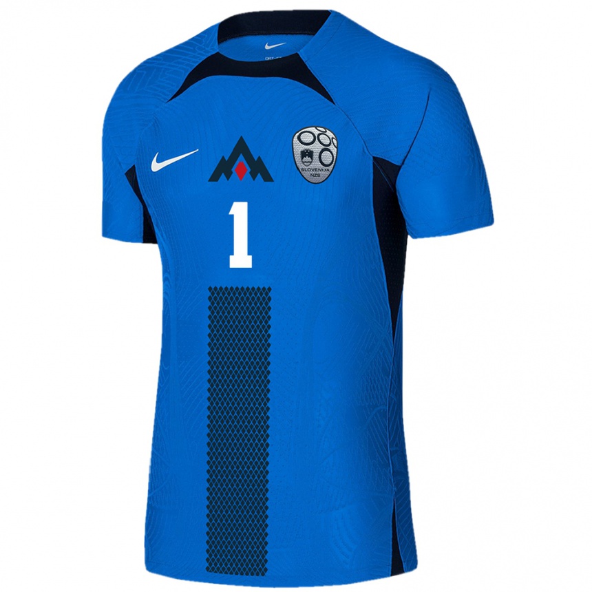 Niño Fútbol Camiseta Eslovenia Tim Strasberger #1 Azul 2ª Equipación 24-26 México