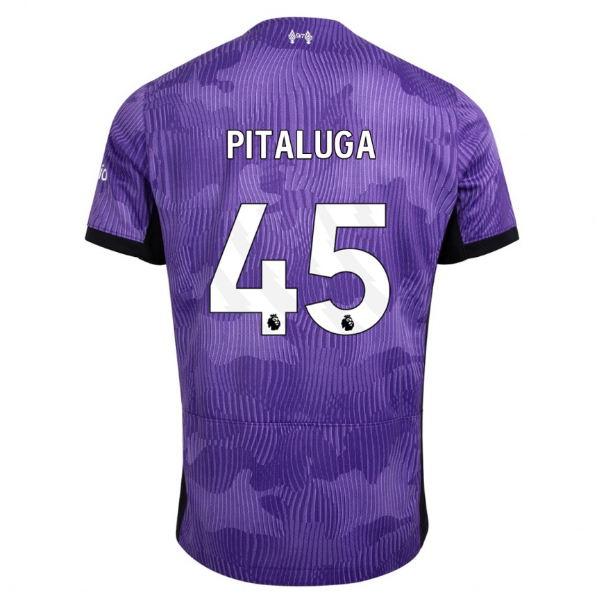 Hombre Fútbol Camiseta Marcelo Pitaluga #45 Púrpura Equipación Tercera 2023/24 México