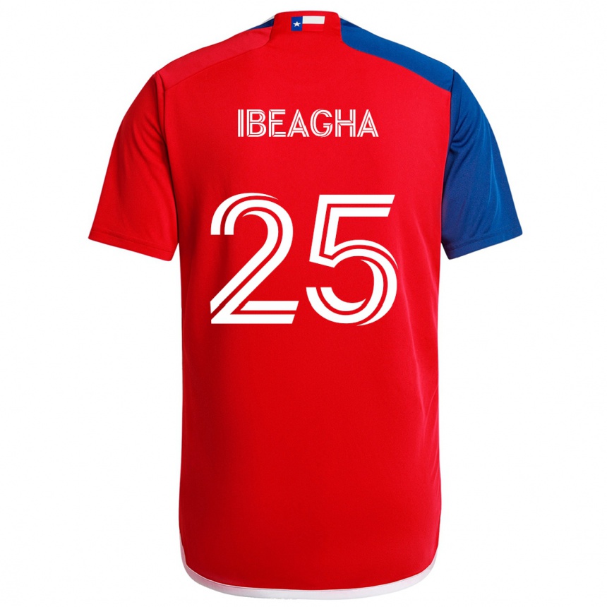 Niño Fútbol Camiseta Sebastien Ibeagha #25 Azul Rojo 1ª Equipación 2024/25 México