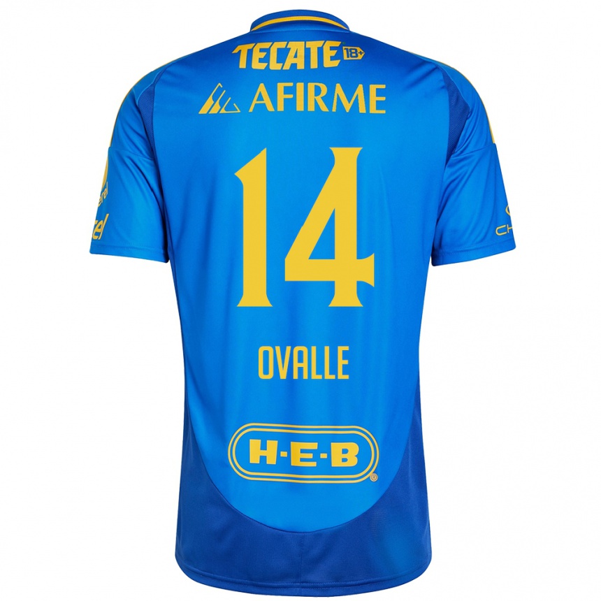 Hombre Fútbol Camiseta Lizbeth Ovalle #14 Azul Amarillo 2ª Equipación 2024/25 México