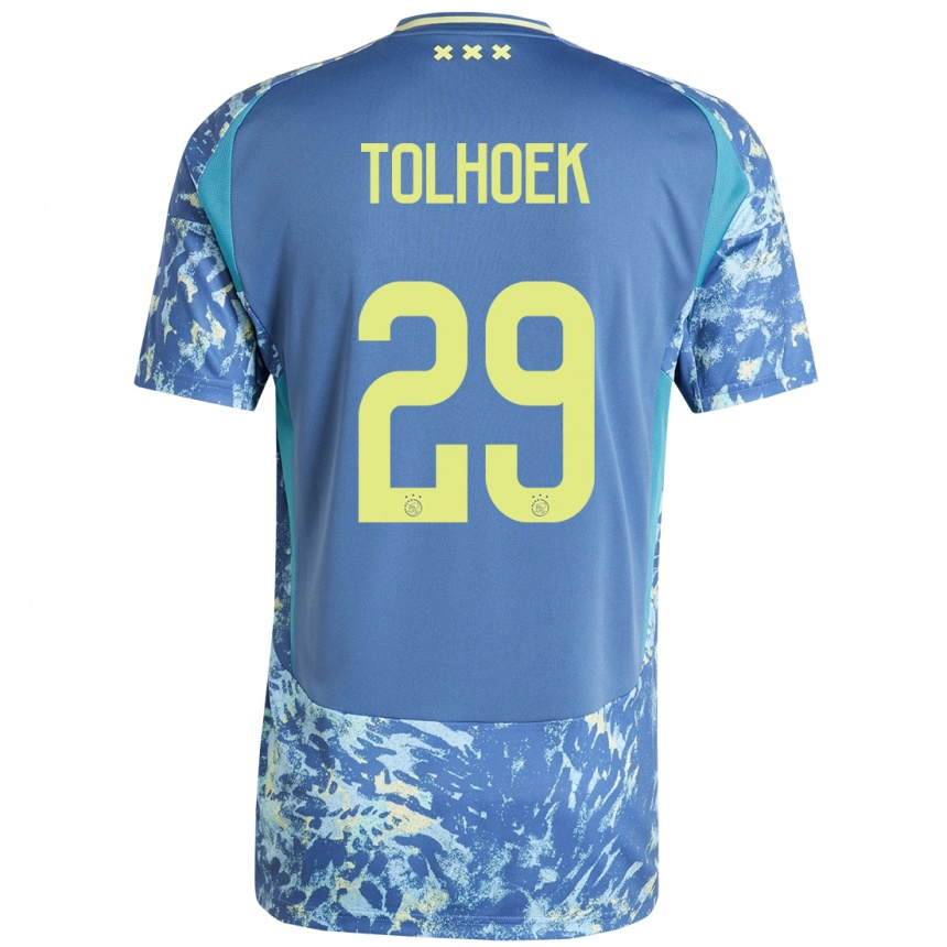 Hombre Fútbol Camiseta Danique Tolhoek #29 Gris Azul Amarillo 2ª Equipación 2024/25 México